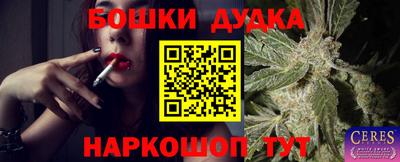 шишки Аргун