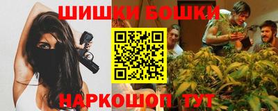 шишки Аргун