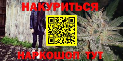 шишки Аргун