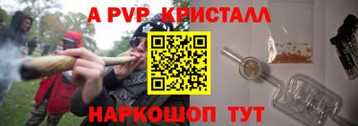 шишки Аргун