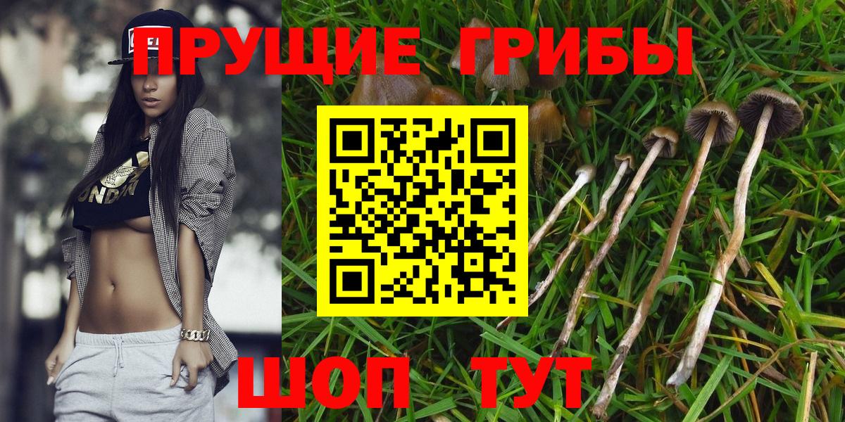 Бахчисарай  Галлюциногенные грибы Psilocybe  Вход с VPN 