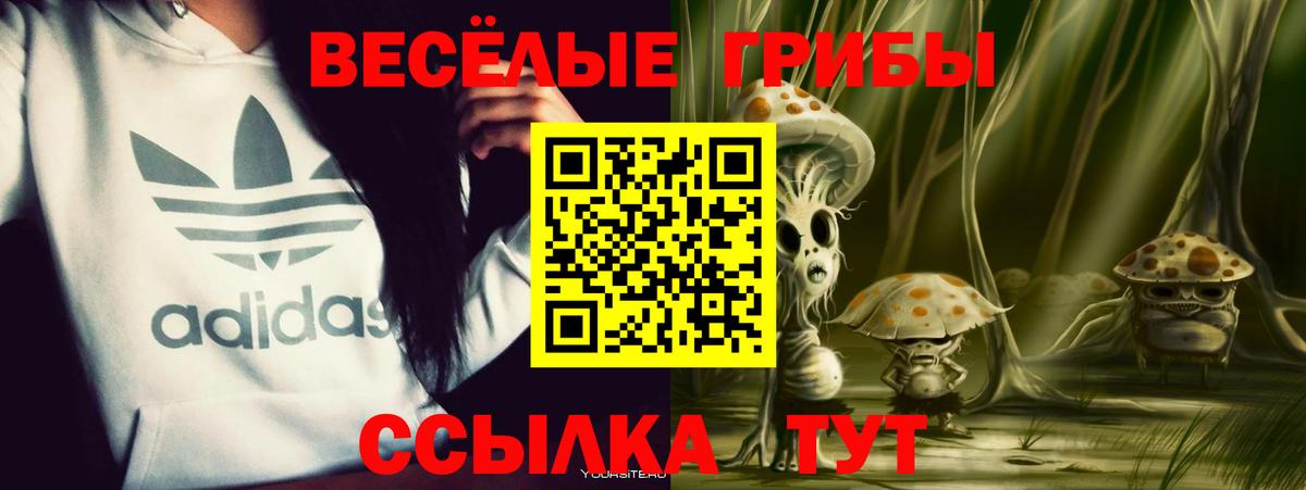 Галлюциногенные грибы Psilocybe Бахчисарай